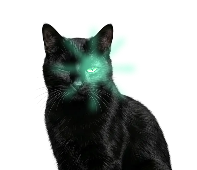 Gata preta Trend Sniffer com olho instinto iluminado — narradora de marca